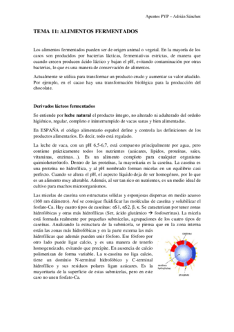 TEMA-11-PYP.pdf