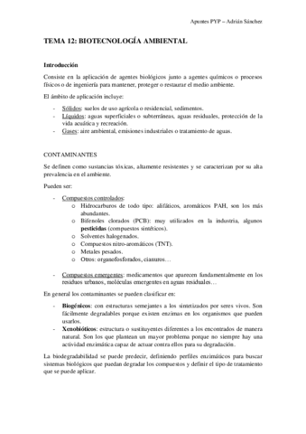 TEMA-12-PYP.pdf