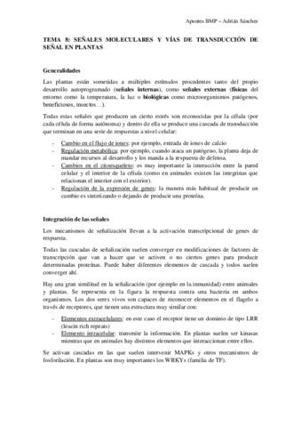 TEMA-8-BMP.pdf