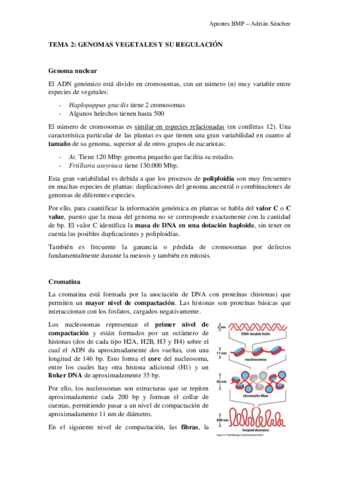 TEMA-2-BMP.pdf