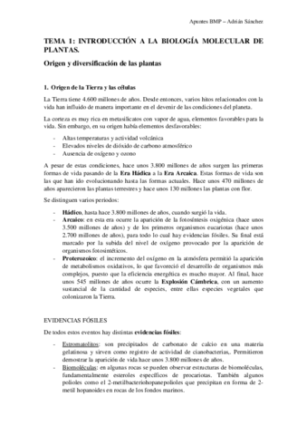 TEMA-1-BMP.pdf