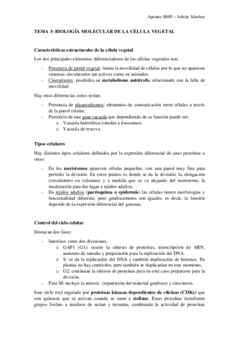TEMA-3-BMP.pdf