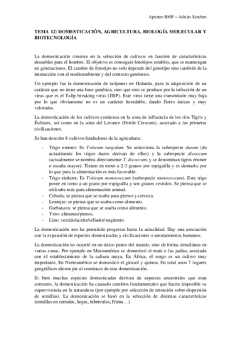TEMA-12-BMP.pdf