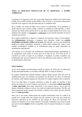 TEMA-11-BMP.pdf