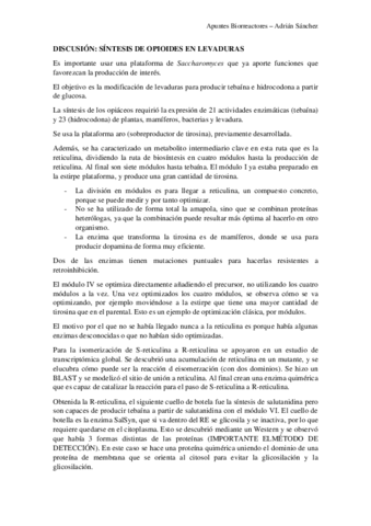 Discusion-paper-opiaceos.pdf