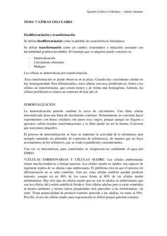 TEMA-7-CC.pdf