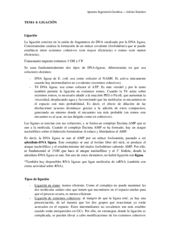 TEMA-4-IG.pdf