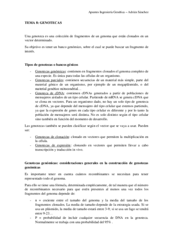 TEMA-8-IG.pdf