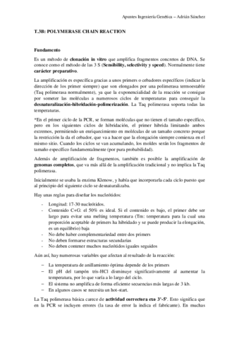 TEMA-3b-IG.pdf