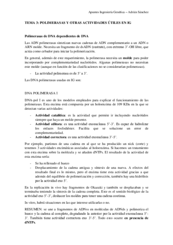 TEMA-3-IG.pdf