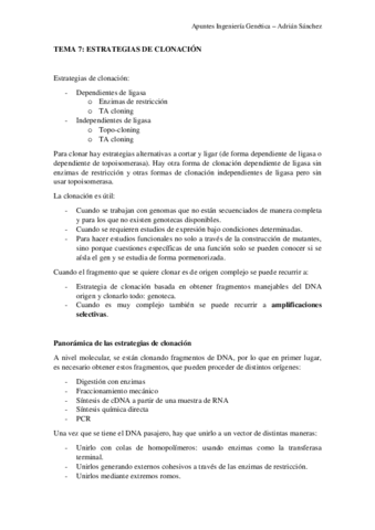 TEMA-7-IG.pdf