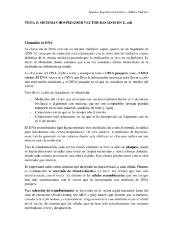 TEMA-5-IG.pdf