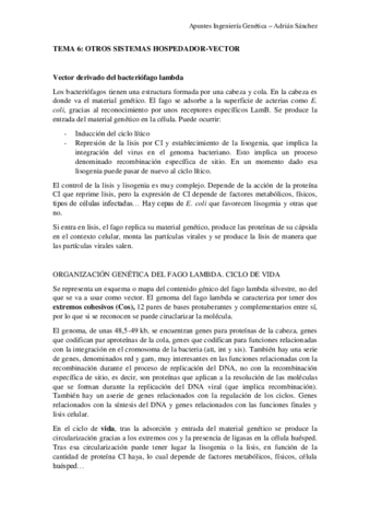 TEMA-6-IG.pdf