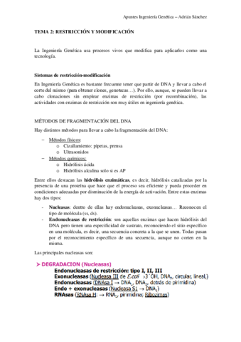 TEMA-2-IG.pdf