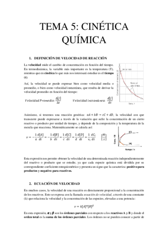 TEMA-5-CINETICA-QUIMICA.pdf