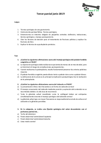 Tercer-parcial-junio-2019.pdf