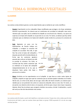 TEMA-6.pdf