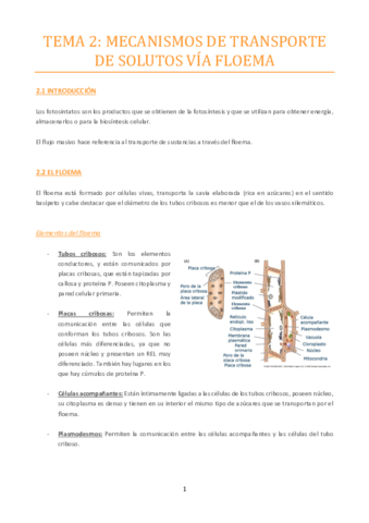 TEMA-2.pdf