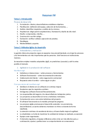 Resumen-IW.pdf