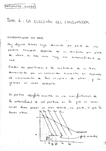 preguntas-micro-teoria.pdf