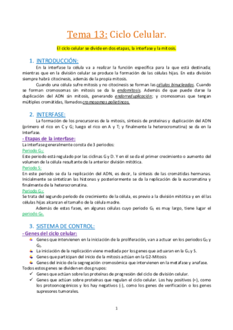 Tema-13.-El-ciclo-celular-la-mitosis..pdf