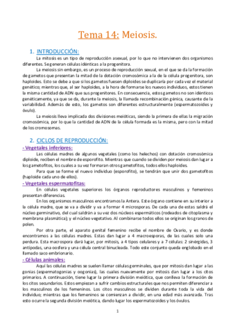 Tema-14.-La-meiosis..pdf