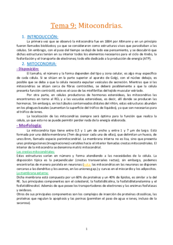 Tema-9.-La-mitocondria..pdf