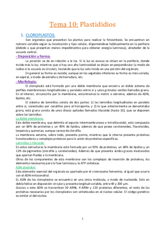Tema-10.-Los-plastidios-Cloroplastos..pdf