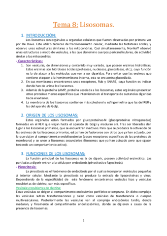 Tema-8.-Los-lisosomas..pdf