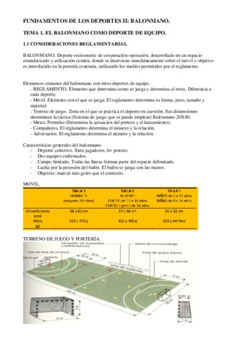 BALONMANO. RESUMEN. TEMARIO COMPLETO..pdf