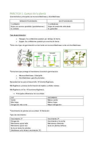 Resumenes-practicas.pdf