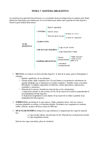 Tema 7 AP Sistema digestivo.pdf