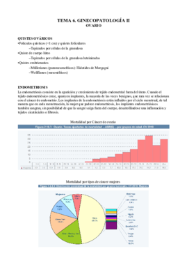 6. Ginecopatología II.pdf