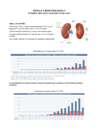 8. Uropatología I.pdf