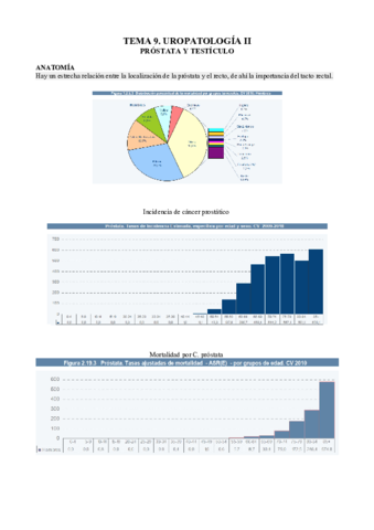9. Uropatología II.pdf