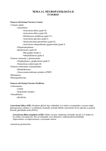 11. Neuropatología II.pdf