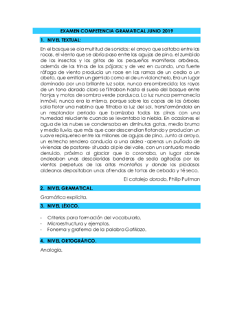 EXAMEN-COMPETENCIA-GRAMATICAL-JUNIO-2019.pdf