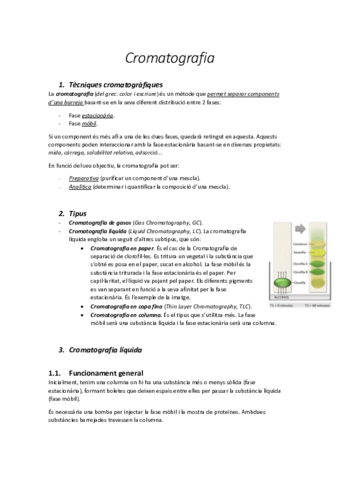 Seminari-Cromatografia.pdf