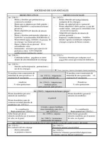ESQUEMA-SOCIEDAD-DE-GANANCIALES-bis-1.pdf