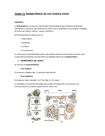 Tema-13.-Biomecanica-de-los-tejidos-vivos.pdf