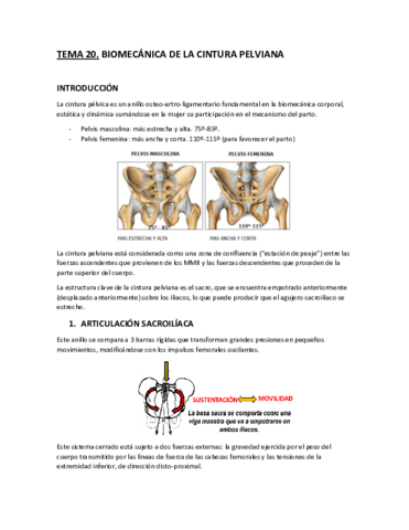 Tema-20.-Biomecanica-de-la-cintura-pelviana.pdf