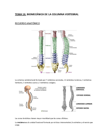 Tema-16.-Biomecanica-de-la-columna-vertebral.pdf