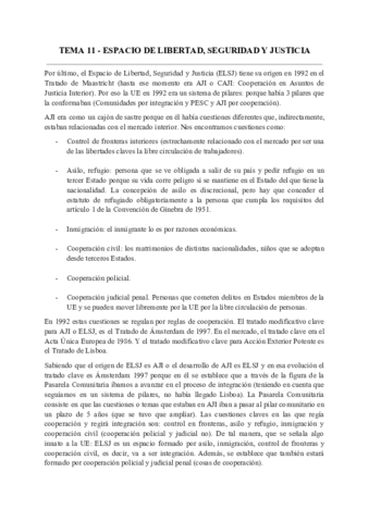IJUE-Tema-11-.pdf