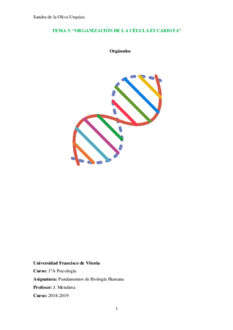 TEMA-3.-Organulos.pdf