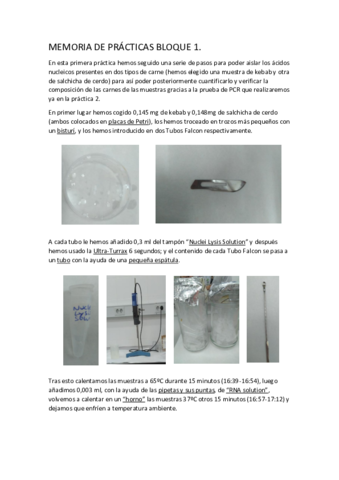 MEMORIA-DE-PRACTICA-1.pdf