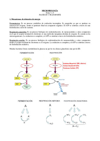 Tema-7-y-8.pdf