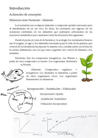 Apuntes-Complejidad-Primera-parte.pdf