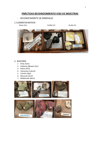 PRACTICAS-RECONOCIMIENTO-VISU-DE-MUESTRAS.pdf