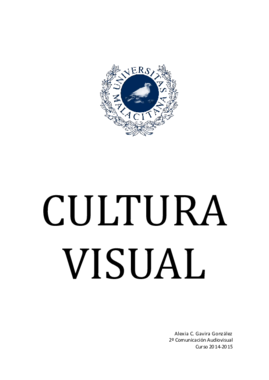 Cultura Visual.pdf