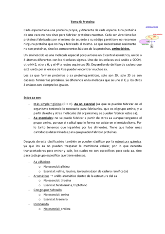 Tema-6-limpio.pdf